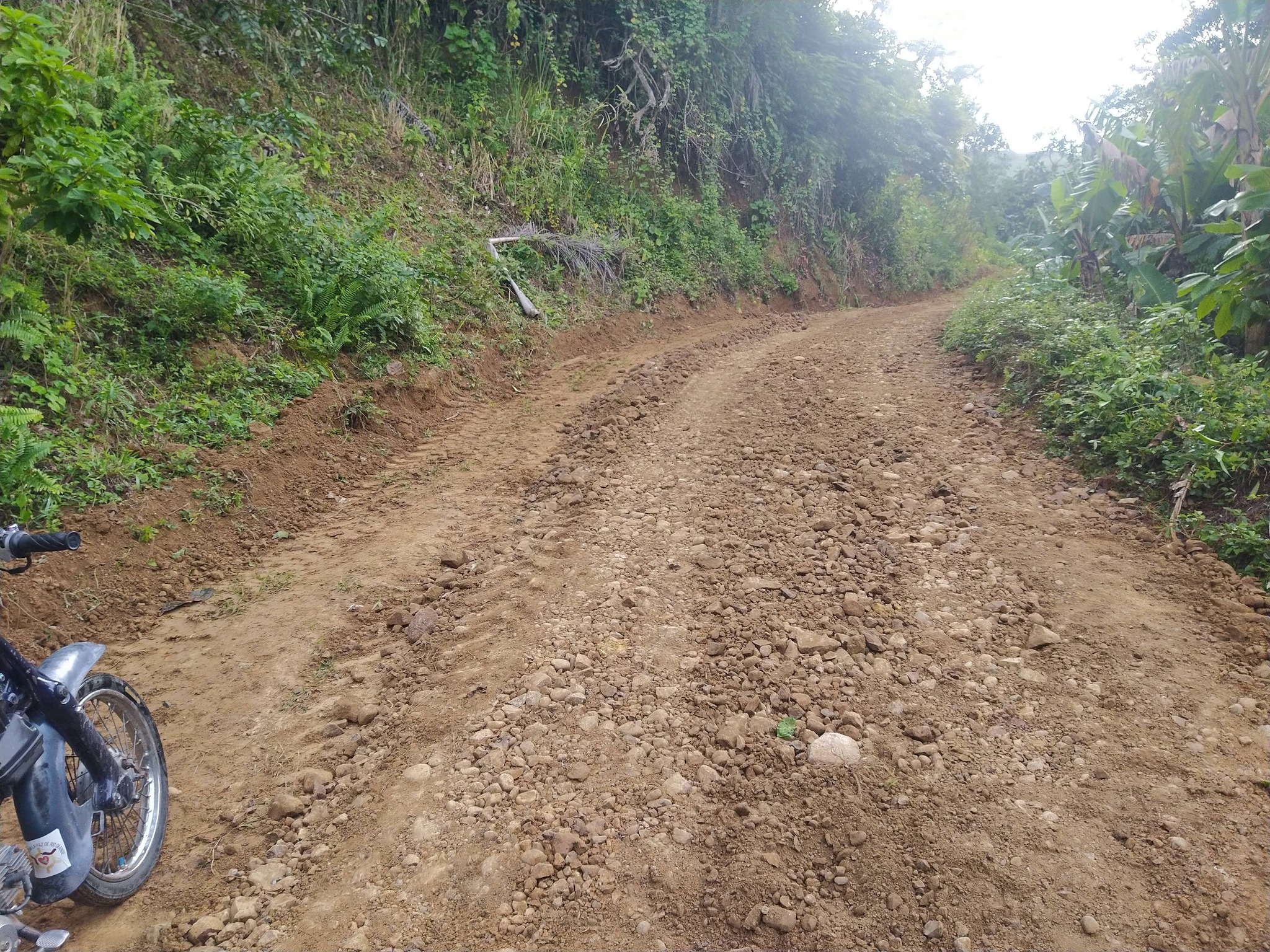 Seguimos trabajando en la limpieza y recolección de plásticos y desechos sólidos camino guazaral el almacén.
